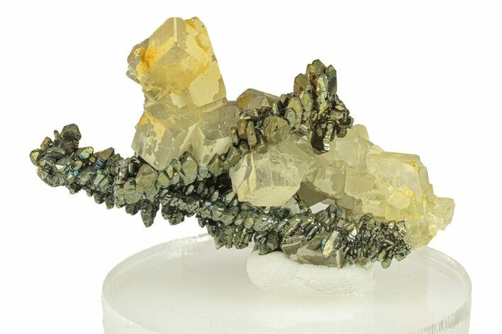 Iridescent Marcasite Stalactite with Barite - Linwood Mine, Iowa #278261